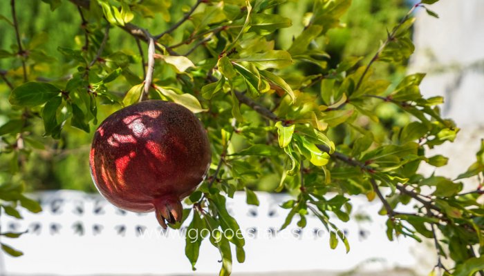 Te koop - Huis - Vrijstaande Villa - Benissa - Benissa Centro