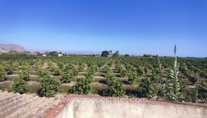 Te koop - Huis - Bungalow - Benejuzar - Benejuzar Centro