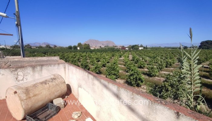 Te koop - Huis - Bungalow - Benejuzar - Benejuzar Centro