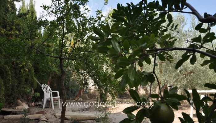 Te koop - Huis - Finca - Cortijo - Pinoso - Pinoso Centro