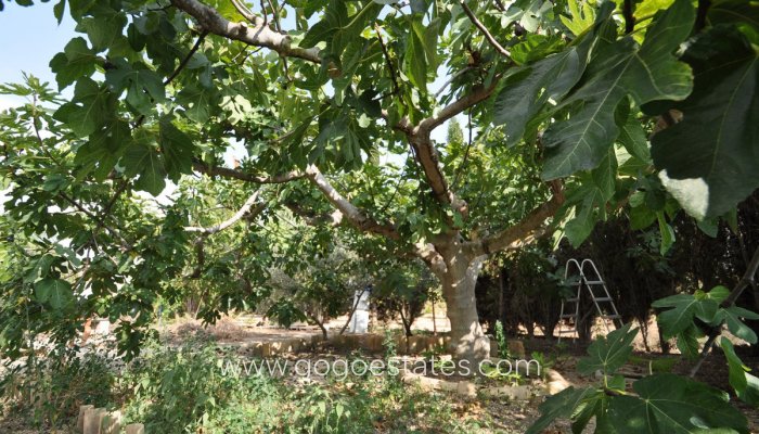 Te koop - Huis - Finca - Cortijo - Pinoso - Pinoso Centro