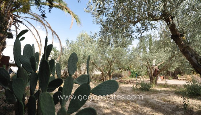 Te koop - Huis - Finca - Cortijo - Pinoso - Pinoso Centro