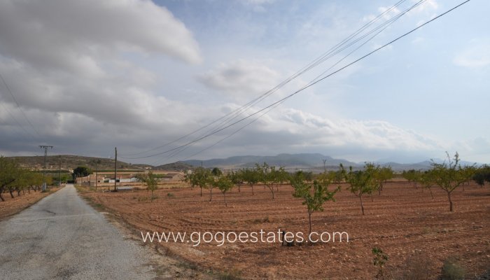Te koop - Huis - Finca - Cortijo - Pinoso - Pinoso Centro