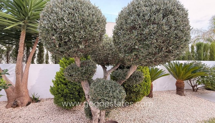 Revente - Maison - Villa Individuelle - Benijofar