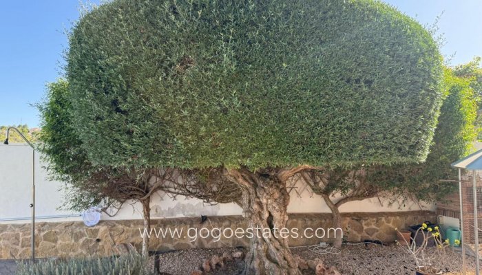 Te koop - Huis - Vrijstaande Villa - San Miguel De Salinas - San Miguel de Salinas Centro