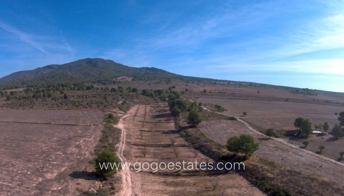 Te koop - Perceel - Land - Yecla - Yecla Centro