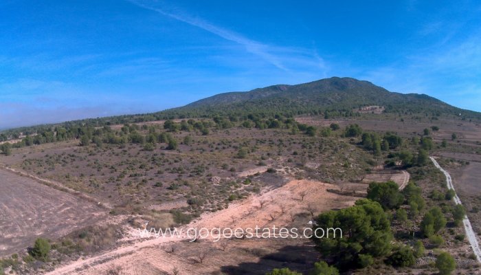 Te koop - Perceel - Land - Yecla - Yecla Centro