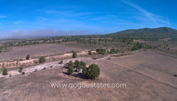 Te koop - Perceel - Land - Yecla - Yecla Centro