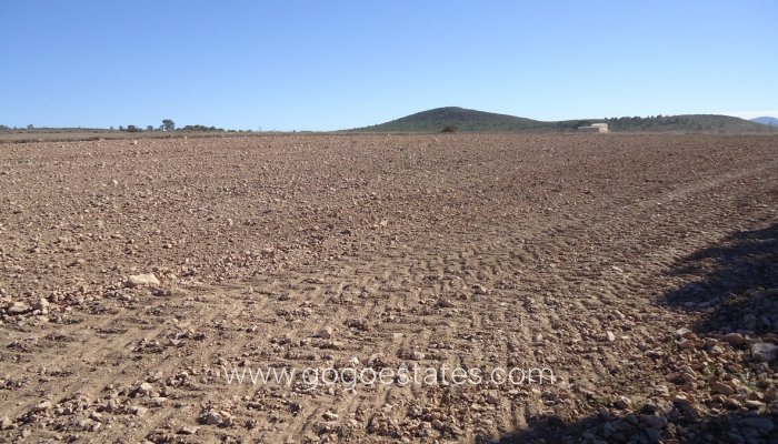 Te koop - Perceel - Land - Yecla - Yecla Centro