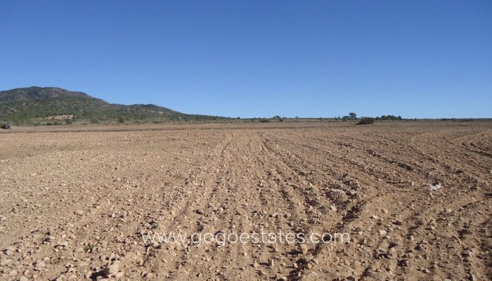 Te koop - Perceel - Land - Yecla - Yecla Centro