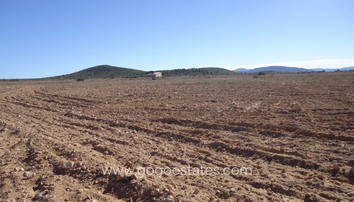 Te koop - Perceel - Land - Yecla - Yecla Centro