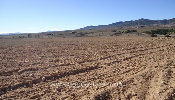 Te koop - Perceel - Land - Yecla - Yecla Centro