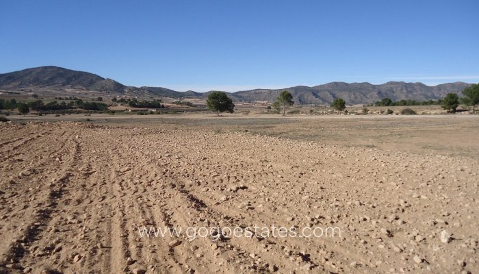 Te koop - Perceel - Land - Yecla - Yecla Centro