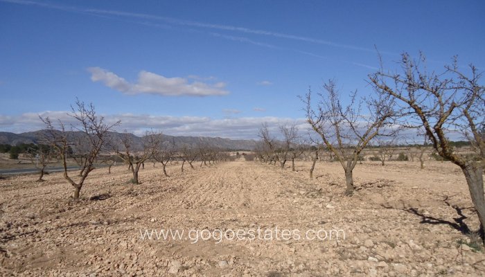 Te koop - Perceel - Land - Yecla - Yecla Centro