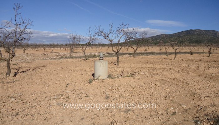 Te koop - Perceel - Land - Yecla - Yecla Centro