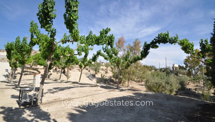 Te koop - Commercieel - Overig - Murcia - Abanilla Centro