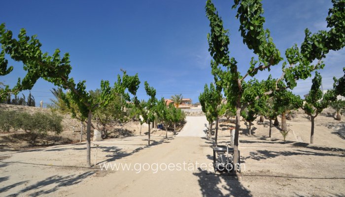 Te koop - Commercieel - Overig - Murcia - Abanilla Centro