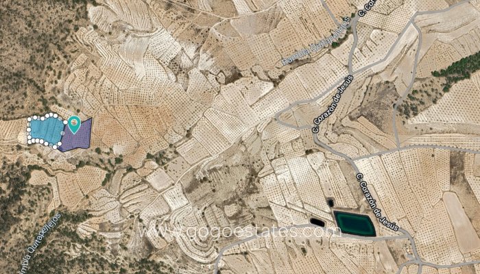 Te koop - Perceel - Land - Yecla - Raspay