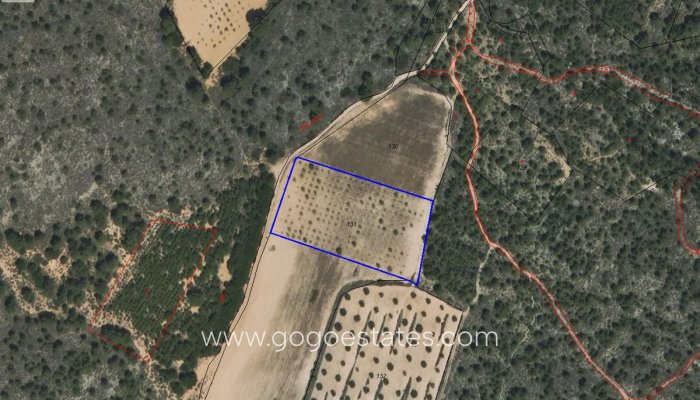 Resale - Plot - Land - Yecla - Yecla Centro