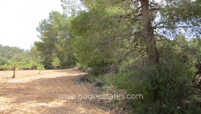 Te koop - Perceel - Land - Yecla - Yecla Centro