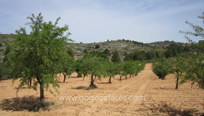 Te koop - Perceel - Land - Yecla - Yecla Centro