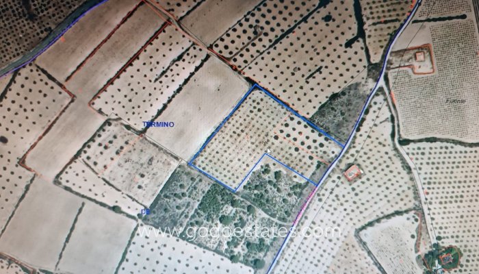 Te koop - Perceel - Land - Yecla - Yecla Centro