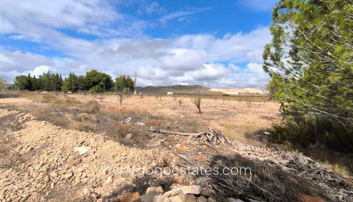 Te koop - Huis - Finca - Cortijo - Yecla - Yecla Centro