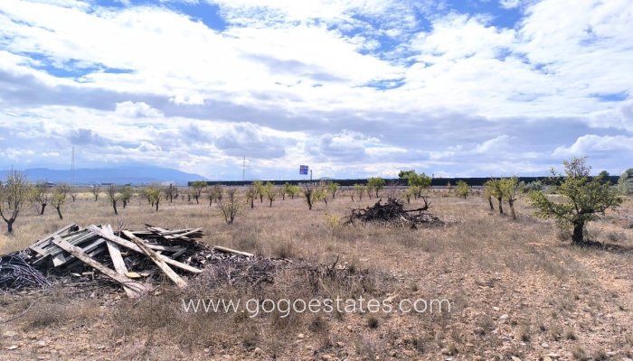 Te koop - Huis - Finca - Cortijo - Yecla - Yecla Centro