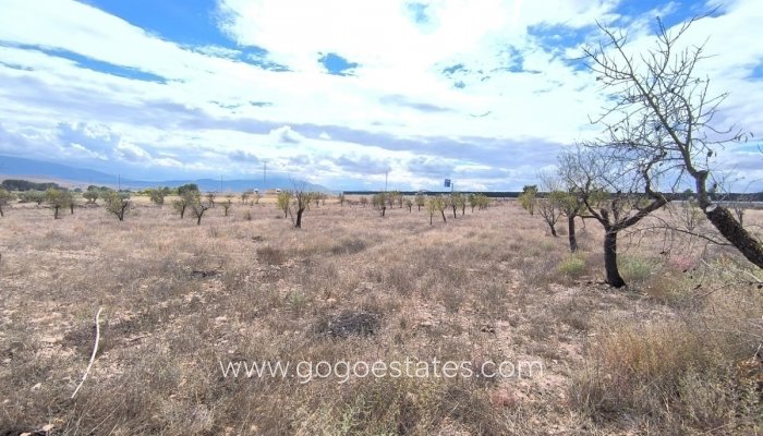 Te koop - Huis - Finca - Cortijo - Yecla - Yecla Centro