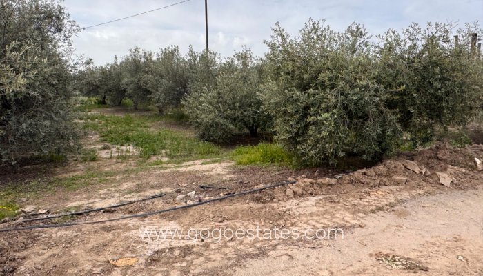 Te koop - Huis - Vrijstaande Villa - Puerto lumbreras - Esparragal de Puerto Lumbreras