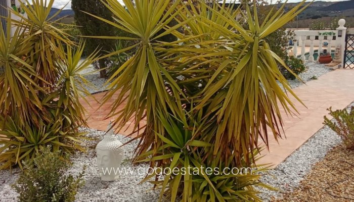 Te koop - Huis - Vrijstaande Villa - Puerto lumbreras - Puerto Lumbreras Centro