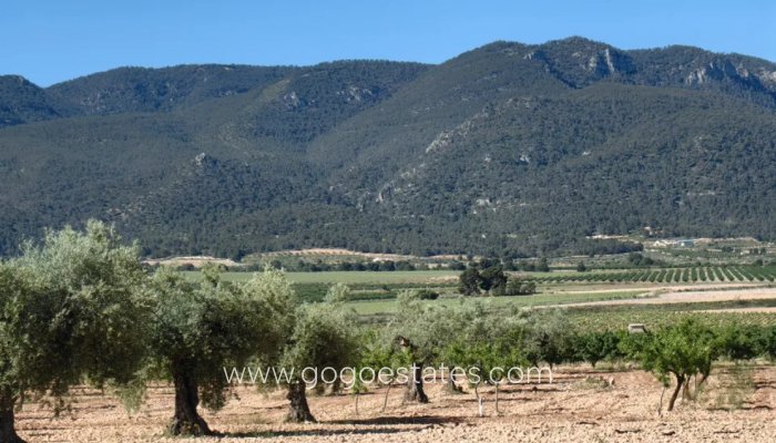 Te koop - Huis - Finca - Cortijo - Yecla - Yecla Centro