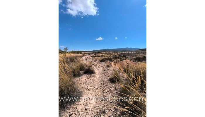 Te koop - Perceel - Land - Jumilla - Jumilla Centro