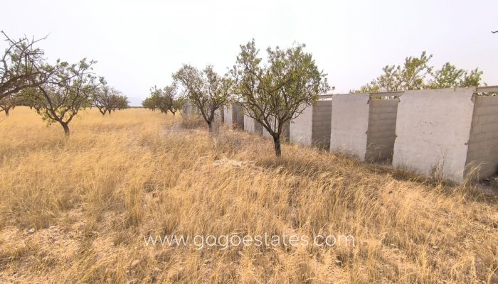 Te koop - Perceel - Land - Yecla - Yecla Centro