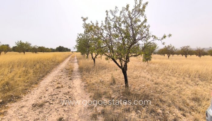 Te koop - Perceel - Land - Yecla - Yecla Centro