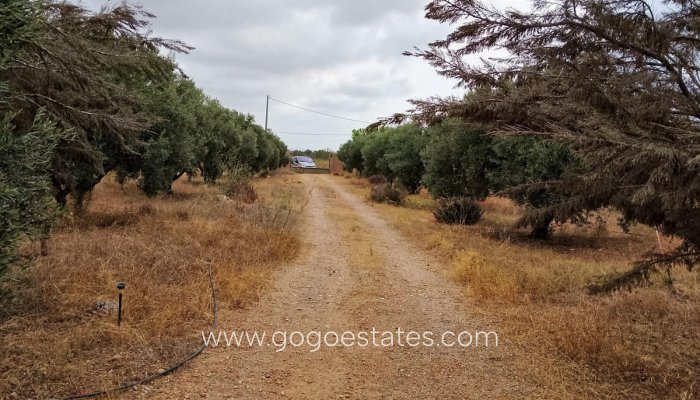 Te koop - Huis - Finca - Cortijo - Torre - Pacheco - La Magdalena