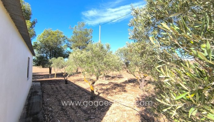 Te koop - Huis - Finca - Cortijo - Yecla - Yecla Centro