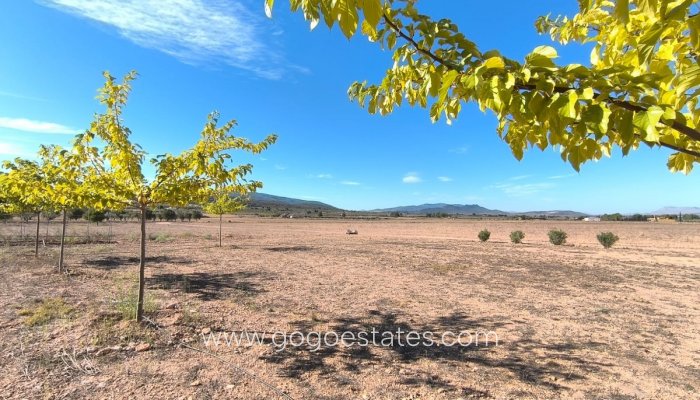 Te koop - Huis - Finca - Cortijo - Yecla - Yecla Centro
