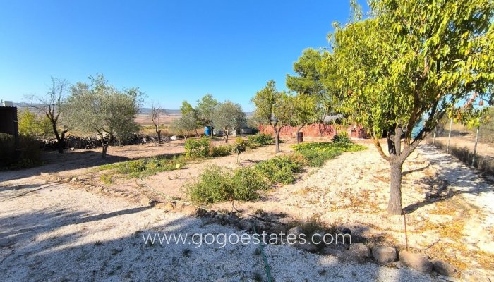 Te koop - Huis - Vrijstaande Villa - Yecla - Yecla Centro