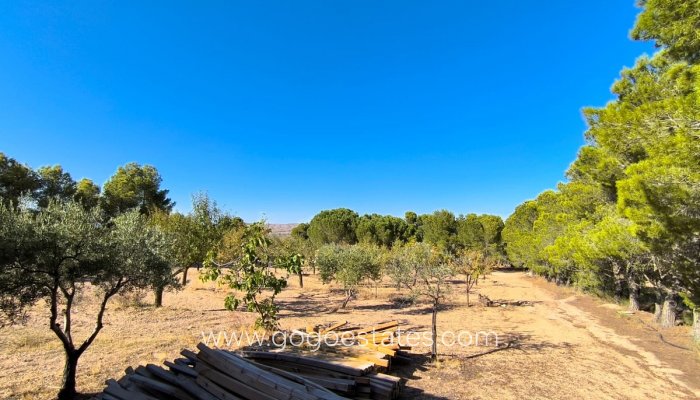 Te koop - Huis - Vrijstaande Villa - Yecla - Yecla Centro