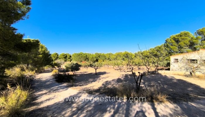 Te koop - Huis - Vrijstaande Villa - Yecla - Yecla Centro