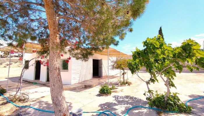 Revente - Maison - Finca - Cortijo - Murcia - Abanilla Centro