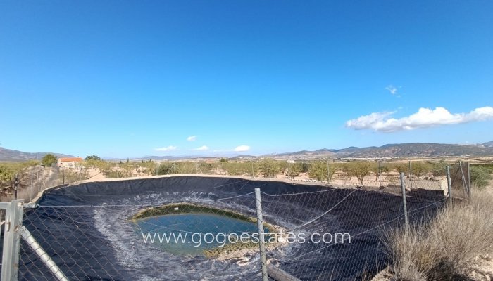 Te koop - Huis - Finca - Cortijo - Jumilla - Jumilla Centro