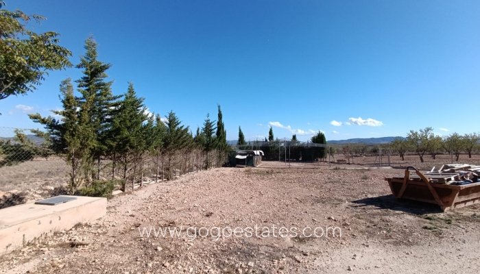 Te koop - Huis - Finca - Cortijo - Jumilla - Jumilla Centro
