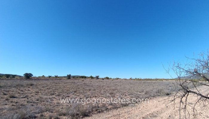 Te koop - Huis - Finca - Cortijo - Jumilla - Jumilla Centro