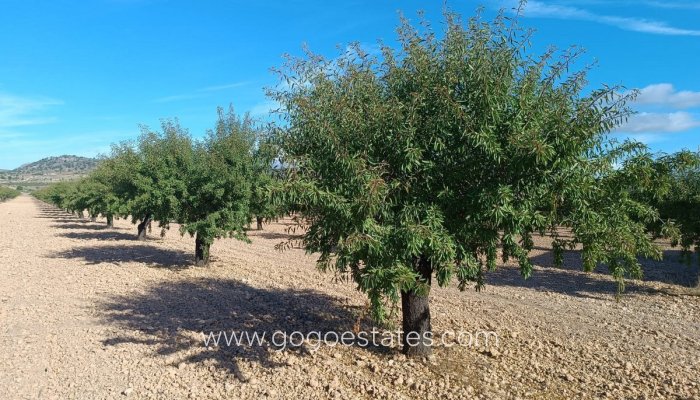 Te koop - Perceel - Land - Yecla - Yecla Centro