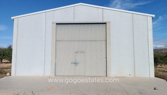 Te koop - Perceel - Land - Yecla - Yecla Centro