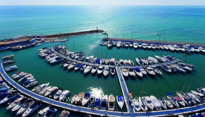 Nouvelle construction - Apartment - Orihuela