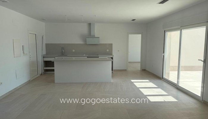 Nouvelle construction - Villa - Pinoso - Camino Del Prado