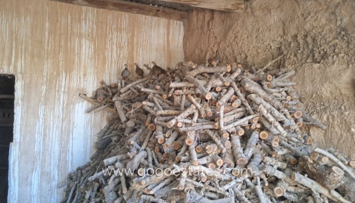 Resale - Cortijo - Freila